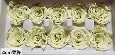 4cm玫瑰❁素色 22色❁(8/7已更)7