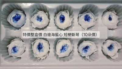 ❁3cm/3-4cm蝴蝶奧斯汀/庭園奧斯汀❁（7／25已更新）12