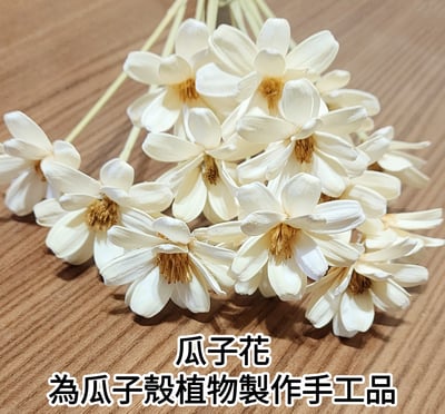 瓜子花/瓜果殼花手工品1