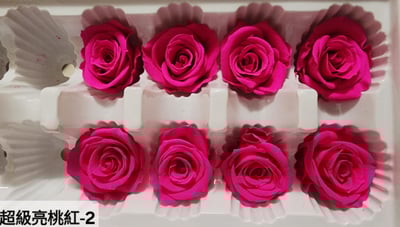 3.5-4cm玫瑰❁素色 27色❁(8/7已更)5