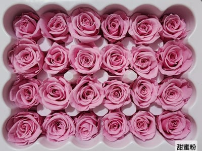2-2cm多矮小迷你玫瑰❁素色 28色❁（8/7已更新）10