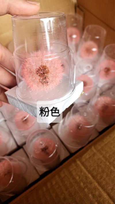 ❀蒲公英❀（7／25已更新）19