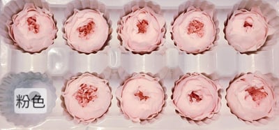 ❁3cm/3-4cm蝴蝶奧斯汀/庭園奧斯汀❁（7／25已更新）10