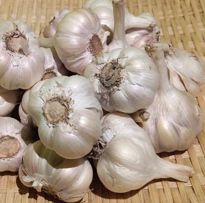 蒜頭 (份)(可搭配3份100元品項活動)1