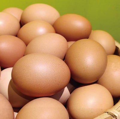 悠活土雞蛋 (10顆)1