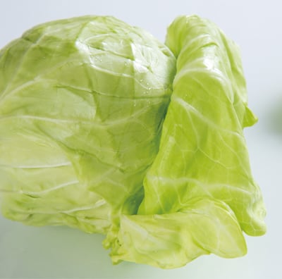 初秋高麗菜 (半顆)1