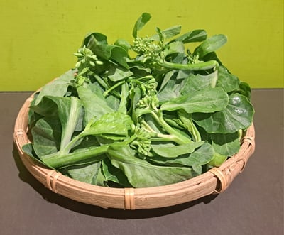 格蘭芽 (份)(採預約）1