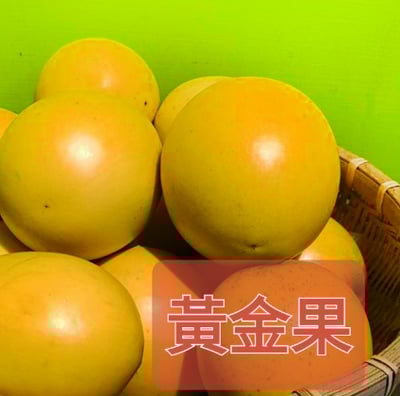 黃金果 (份)1