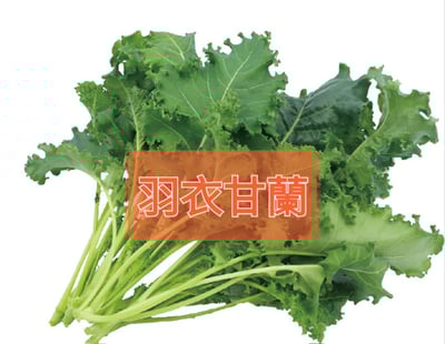 羽衣甘藍(份)(可搭配3份100元品項活動)1