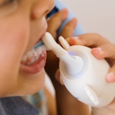 比利時TheZoofamily-ZooToothbrush 兒童音波電動牙刷（無尾熊）8