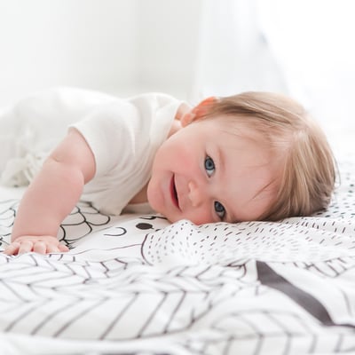 美國RookieHumans 多功能純棉絲柔被(晚安!松鼠)2