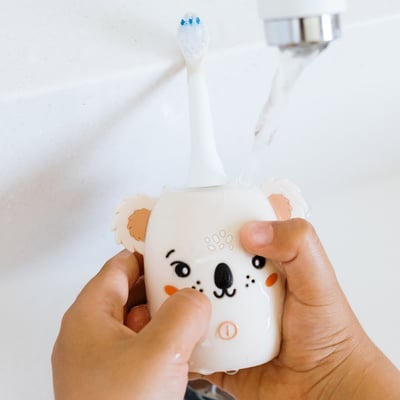比利時TheZoofamily-ZooToothbrush 兒童音波電動牙刷（無尾熊）10