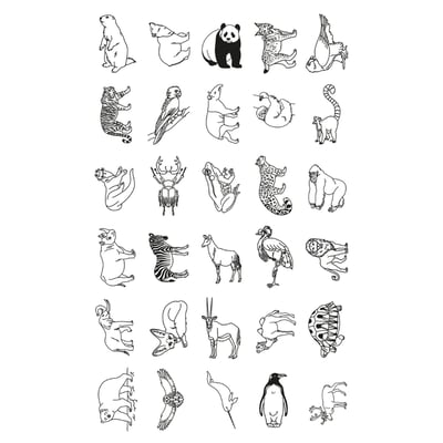 比利時KIDYWOLF 創意學習描繪板(世界動物)8