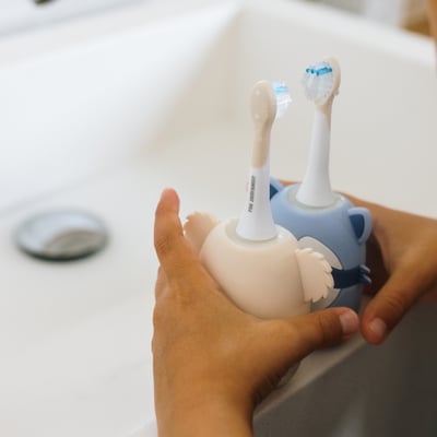 比利時TheZoofamily-ZooToothbrush 兒童音波電動牙刷（浣熊）9