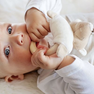 WoolyOrganic有機棉絨 咬咬木質固齒環(丹丹熊)3