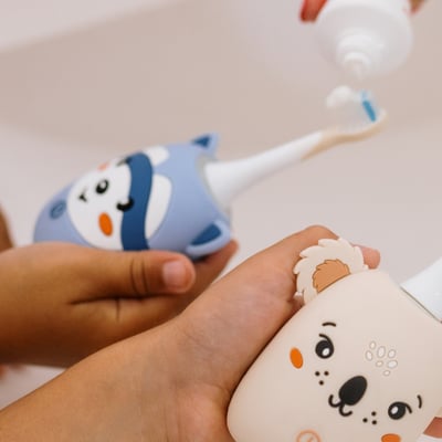 比利時TheZoofamily-ZooToothbrush 兒童音波電動牙刷（浣熊）11