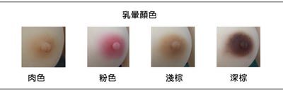 乳暈顏色