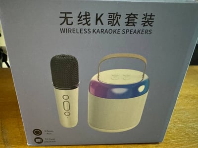 可攜式喇叭 雙麥克風2