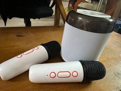 可攜式喇叭 雙麥克風1