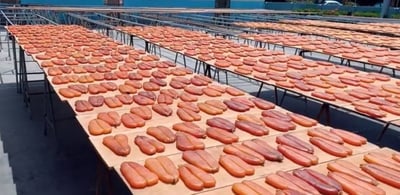 ｜北港揚信｜頂級燒烤一口吃烏魚子｜獨家大包裝120g｜4