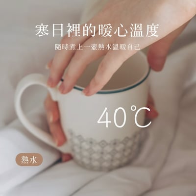 ｜AIWA 愛華｜1.7L  11段控溫電茶壼 AA-K21S｜13