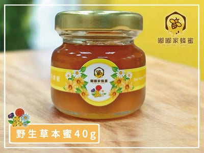 ｜嘟嘟家蜂蜜｜精巧翅膀禮盒｜玉荷包蜂蜜・野生草本蜂蜜・野生龍眼蜂蜜40g各一｜4
