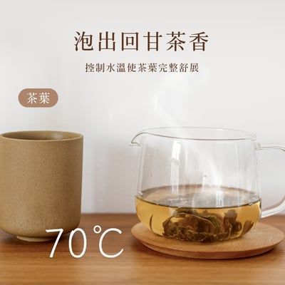 ｜AIWA 愛華｜1.7L  11段控溫電茶壼 AA-K21S｜11