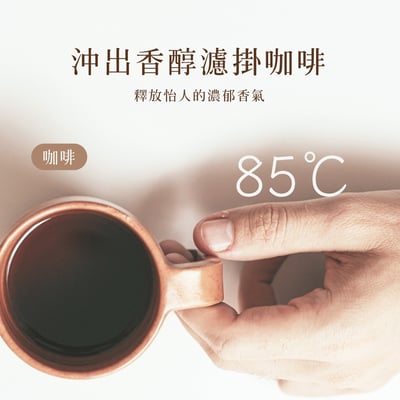 ｜AIWA 愛華｜1.7L  11段控溫電茶壼 AA-K21S｜10