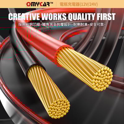 ｜品好物｜電瓶充電器(12V/24V)｜汽車/機車/貨車/電瓶修復｜13