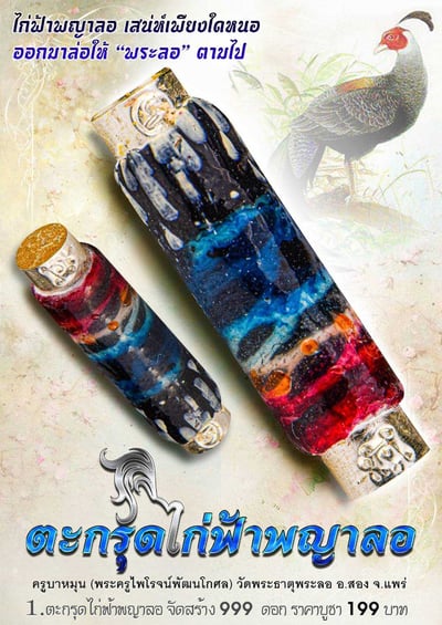 古巴曼 2567　Phaya Lor 雉雞打固4