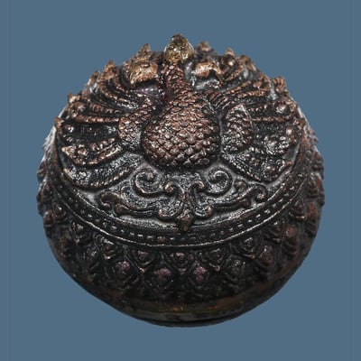 第一期三頭孔雀路翁 古巴烏維金塔薩拉6