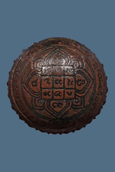 第一期三頭孔雀路翁 古巴烏維金塔薩拉5