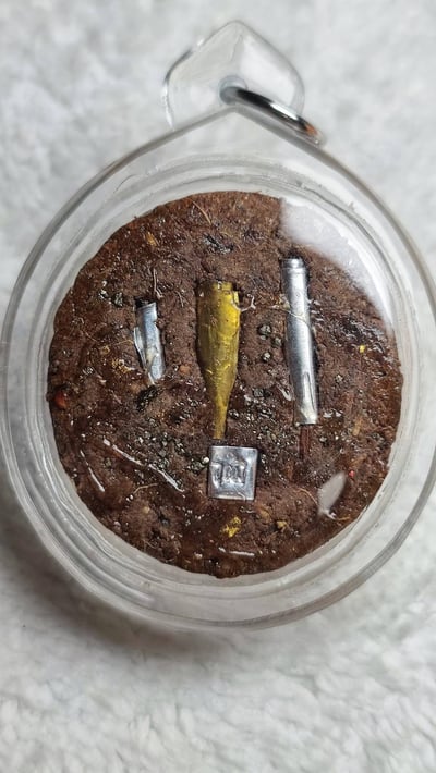 婆吞活 金蛙王2