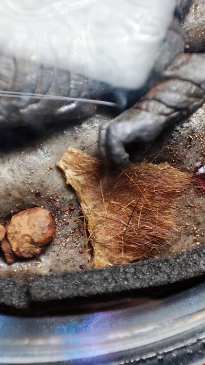 帕阿贊塔納空 帕阿贊塔納功 蛇煙 防小人11