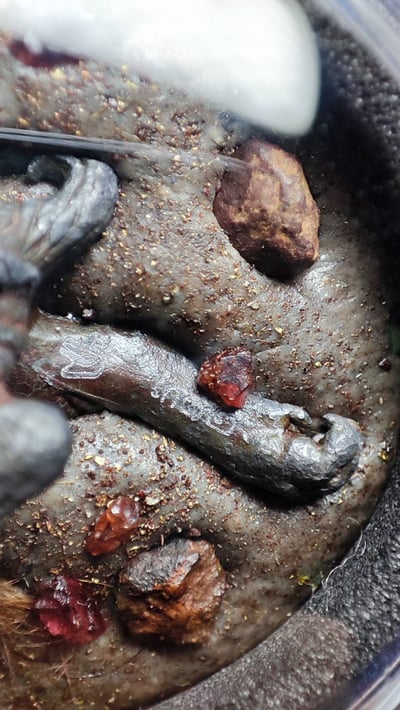 帕阿贊塔納空 帕阿贊塔納功 蛇煙 防小人12