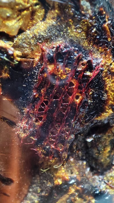 萬噴膏必達佛 必打  婆康瑪  婆康迪 25549