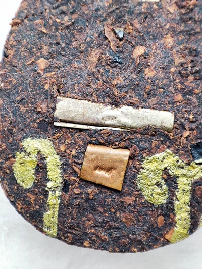 波既祖師草藥版 龍婆伴 帕固伴4