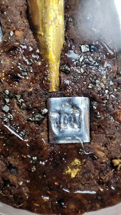 婆吞活 金蛙王7