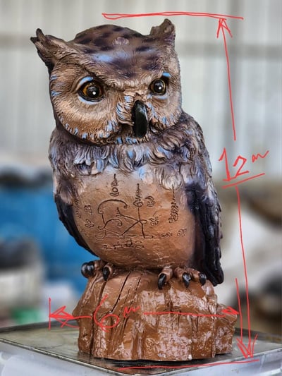 龍婆初 第九期貓頭鷹10