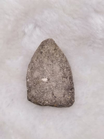 帕阿贊頓 純聖料坤平  龍普瑪哈席拉4