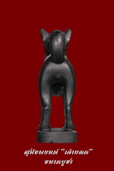 龍婆伴 2566  第五期狗狗9