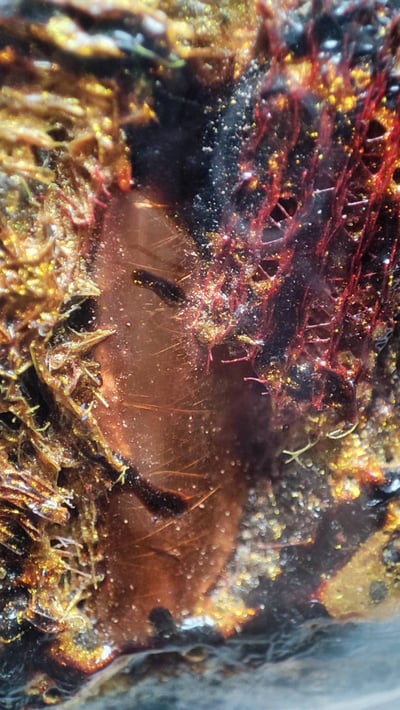 萬噴膏必達佛 必打  婆康瑪  婆康迪 255410