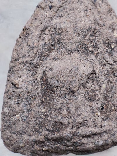 帕阿贊頓 純聖料坤平  龍普瑪哈席拉6