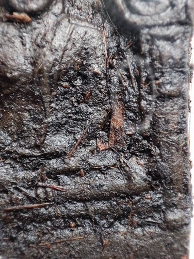 婆康瑪2544坤平 萬噴膏  婆康喬4