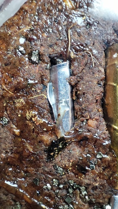 婆吞活 金蛙王6