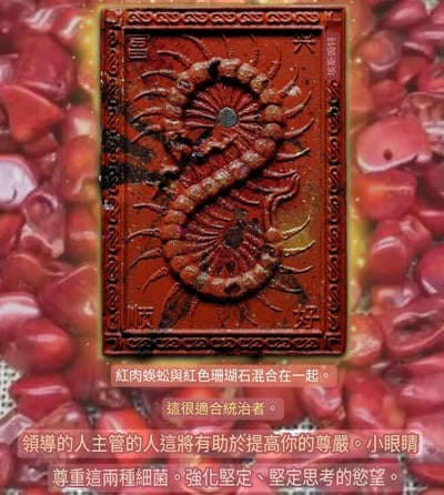 龍婆瓦林 百足蜈蚣抽抽包12