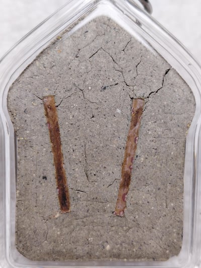 龍婆禪南 派坤平 四面神名師 哈燒日坤平 大模5