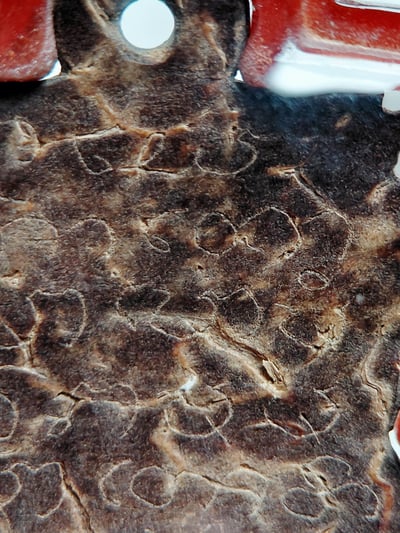 龍婆Kring 拉胡天神 龍婆Noi7