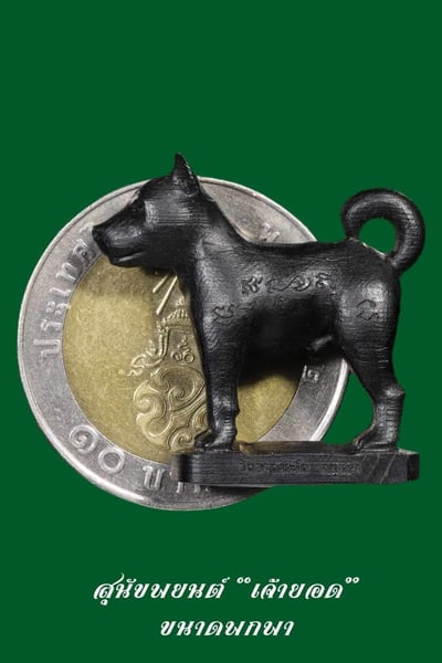 龍婆伴 2566  第五期狗狗4