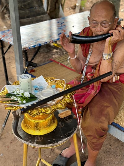 獨家 大象爺爺起運膏 財運 人緣 阿贊普奔瑪4